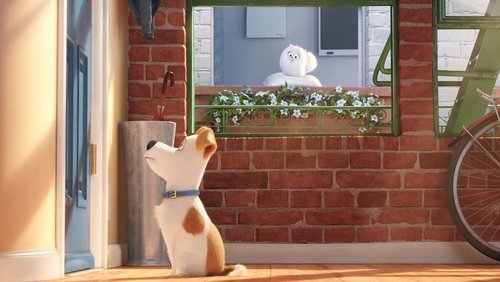 The Secret Life of Pets - Đẳng Cấp Thú Cưng - Hình 2
