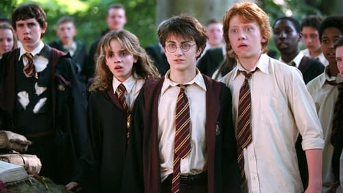 Harry Potter And The Prisoner Of Azkaban - Harry Potter Và Tên Tù Nhân Ngục Azkaban - Hình 4