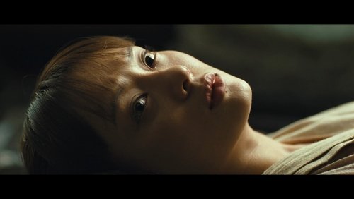 The Lost Bladesman - Quan Vân Trường - Hình 4