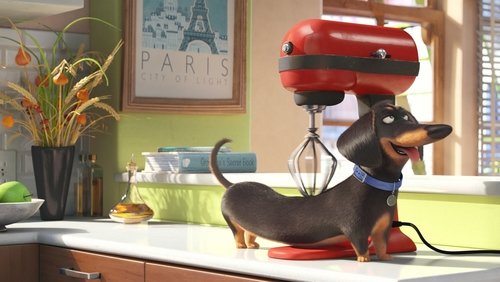 The Secret Life of Pets - Đẳng Cấp Thú Cưng - Hình 4