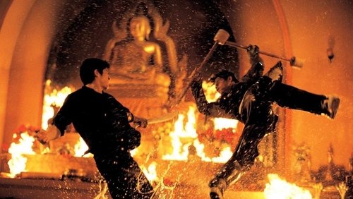 The Protector - Người Bảo Vệ - Hình 1