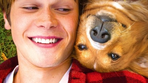 A Dog's Purpose - Mục Đích Sống Của Một Chú Chó - Hình 4