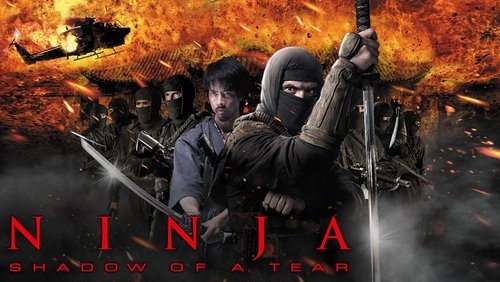 Ninja: Shadow of a Tear - <a class='seoclass' href='/phim/ninja-shadow-of-a-tear-451' title='Xem phim Ninja 2: Ninja Báo Thù'>Ninja 2: Ninja Báo Thù</a> - Hình 1
