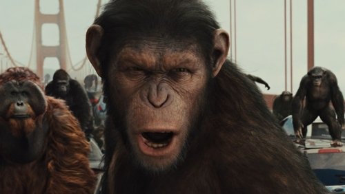 Rise of the Planet of the Apes - Sự Trỗi Dậy Của Hành Tinh Khỉ - Hình 2
