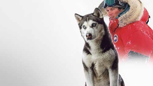 Eight Below - Âm Tám Độ - Hình 2