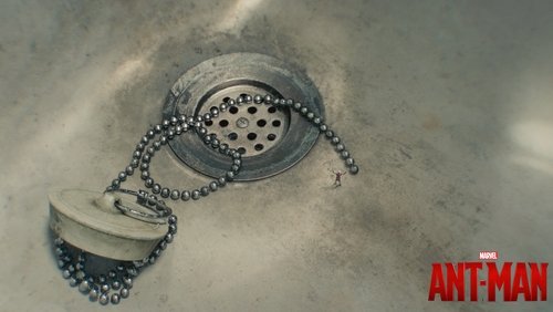 Ant-Man - Người Kiến - Hình 3