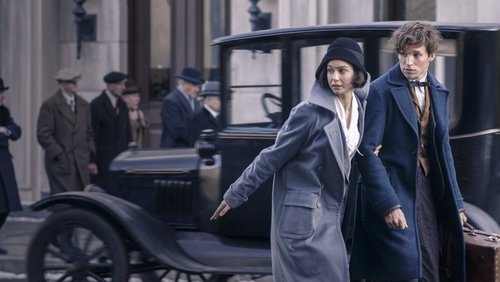 Fantastic Beasts And Where To Find Them - <a class='seoclass' href='/phim/fantastic-beasts-and-where-to-find-them-363' title='Xem phim Sinh Vật Huyền Bí Và Nơi Tìm Ra Chúng'>Sinh Vật Huyền Bí Và Nơi Tìm Ra Chúng</a> - Hình 1