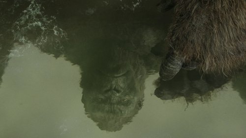 Kong: Skull Island - Kong: Đảo Đầu Lâu - Hình 3