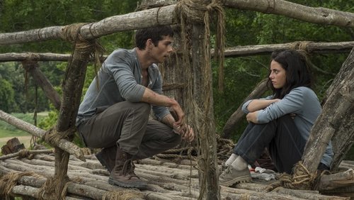 The Maze Runner - Giải Mã Mê Cung - Hình 1