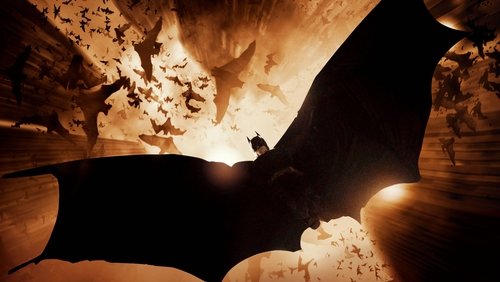 Batman Begins - Người Dơi Tái Xuất - Hình 4