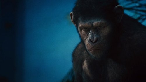 Rise of the Planet of the Apes - Sự Trỗi Dậy Của Hành Tinh Khỉ - Hình 5