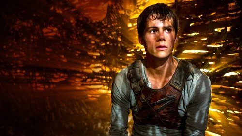 The Maze Runner - Giải Mã Mê Cung - Hình 5
