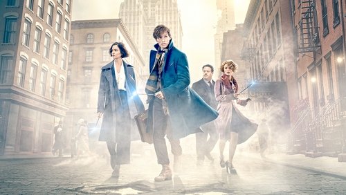 Fantastic Beasts And Where To Find Them - Sinh Vật Huyền Bí Và Nơi Tìm Ra Chúng - Hình 2