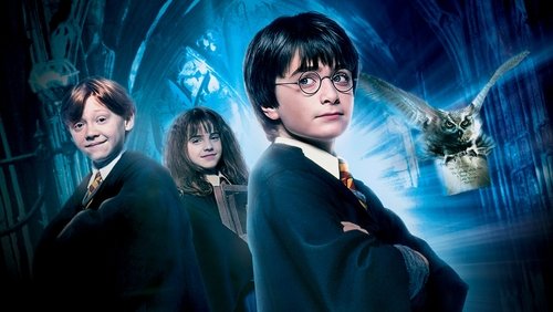 Harry Potter And The Sorcerer's Stone - Harry Potter Và Hòn Đá Phù thủy - Hình 2