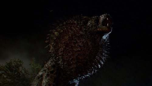 Fantastic Beasts And Where To Find Them - Sinh Vật Huyền Bí Và Nơi Tìm Ra Chúng - Hình 3