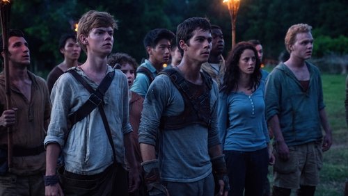 The Maze Runner - Giải Mã Mê Cung - Hình 4