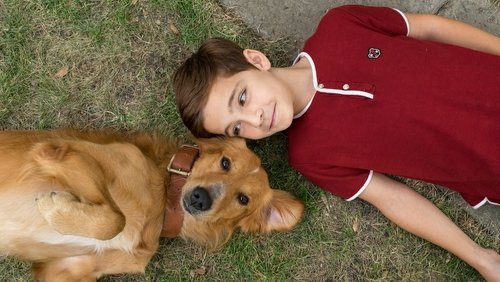 A Dog's Purpose - Mục Đích Sống Của Một Chú Chó - Hình 2