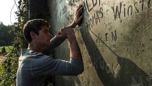 The Maze Runner - Giải Mã Mê Cung - Hình 6