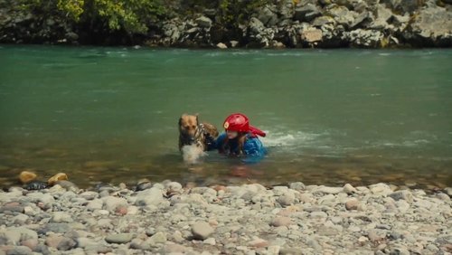 Max 2: White House Hero - Chú Chó Max 2: Cứu Tinh Nhà Trắng - Hình 5