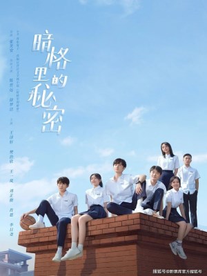 Bí Mật Nơi Góc Tối