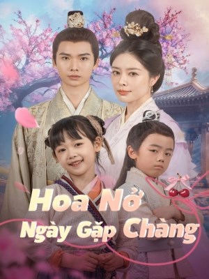 Hoa Nở Ngày Gặp Chàng
