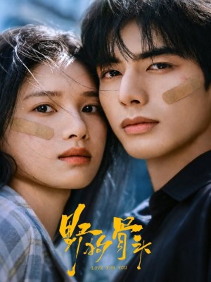 Xem phim Chó Hoang Và Xương Chó Hoang Và Xương